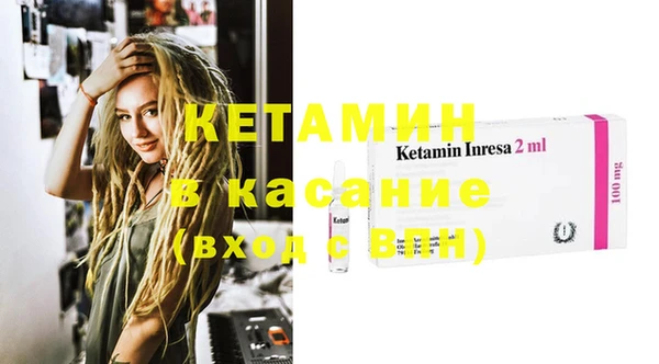 стаф Алзамай