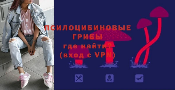 стаф Алзамай