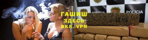 стаф Алзамай