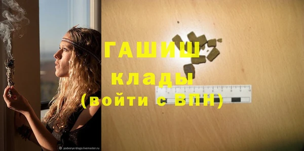 стаф Алзамай