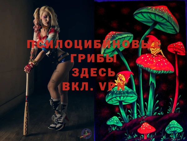 стаф Алзамай