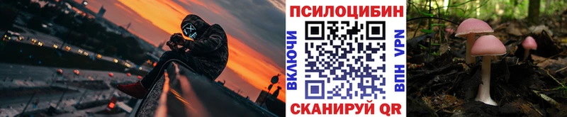 закладка  Лахденпохья  blacksprut ссылки  Галлюциногенные грибы Psilocybe 